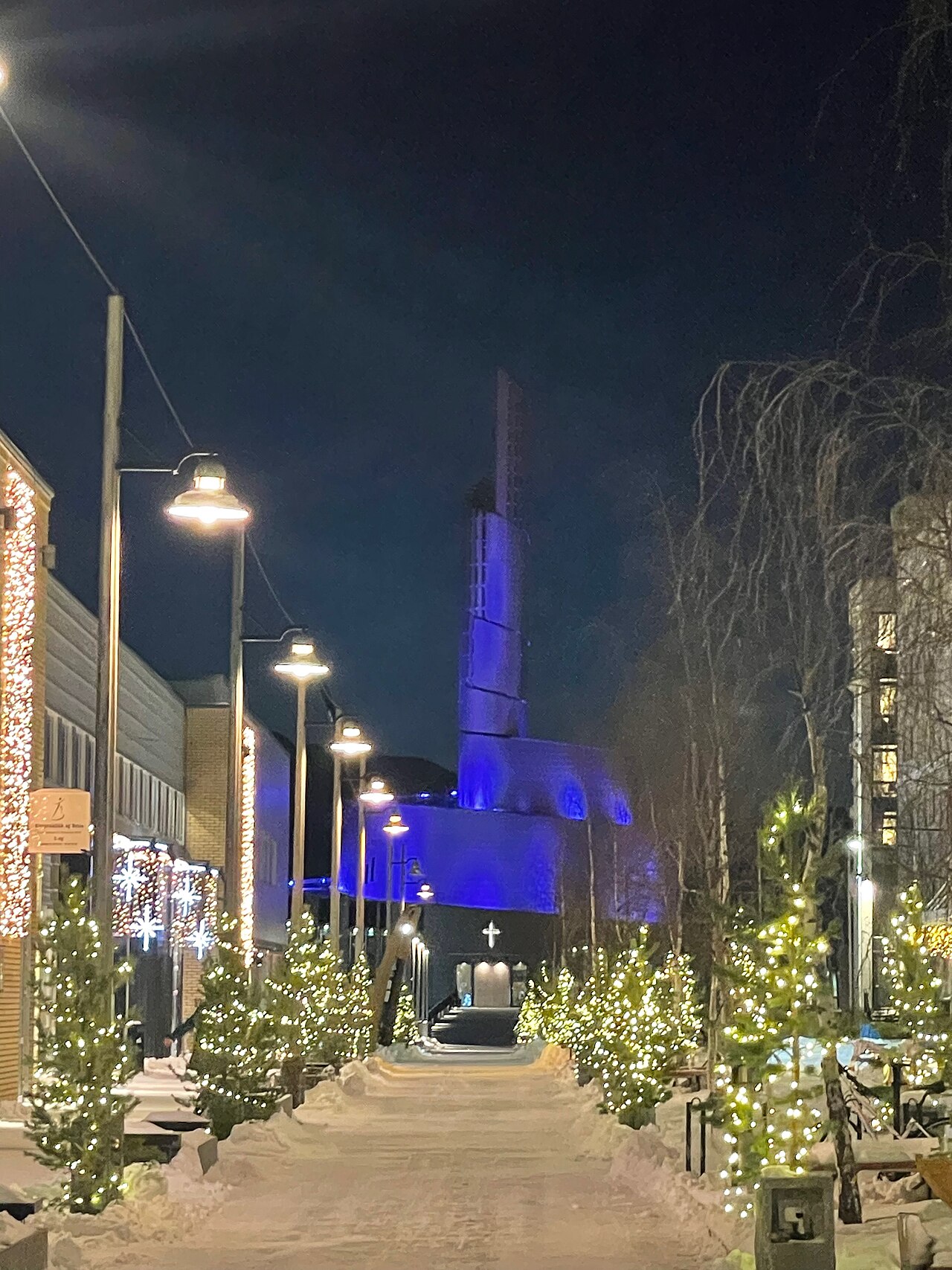 Northern Lights Cathedral in winter, Alta