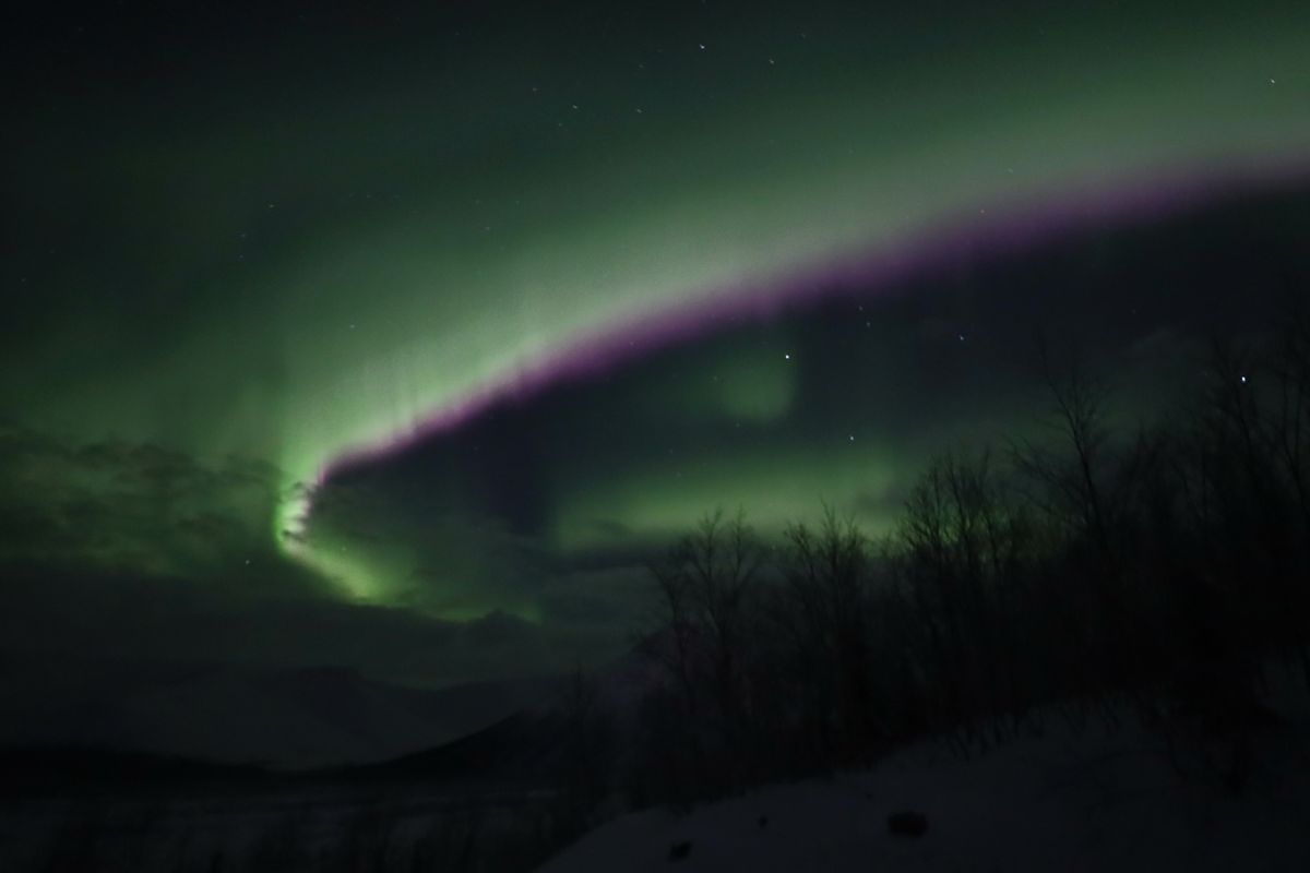 Stunning display of the northern lights illuminating a quiet winter night sky.
